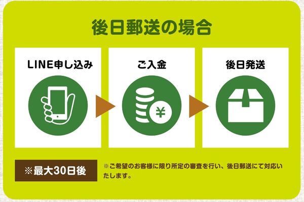 ピクミンが行っている先払い買取現金化の仕組みについての図式