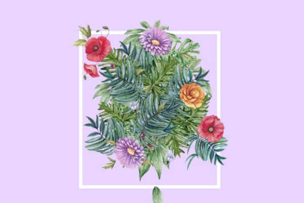 先払い買取業者「スミレ」のトップ画像